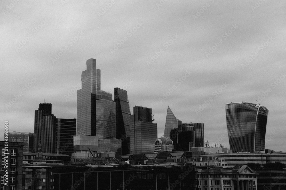 Fototapeta premium city skyline