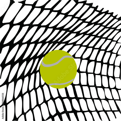 pelota en la red