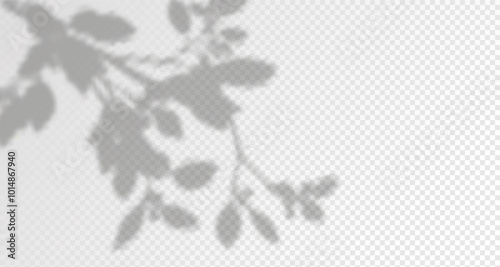 Glare from the sun's rays on the wall. Blurred shadows from leaves and plants in the room. Soft overlay of natural light. Abstract background for product presentation.
