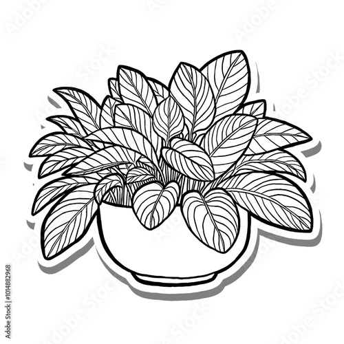 Houseplant Outline on white silhouette and gray shadow. Hand drawn cartoon style. Vector illustration for decorate, coloring and any design.