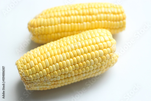 Top View Fresh Corn Cobs Isolated on White Background. 