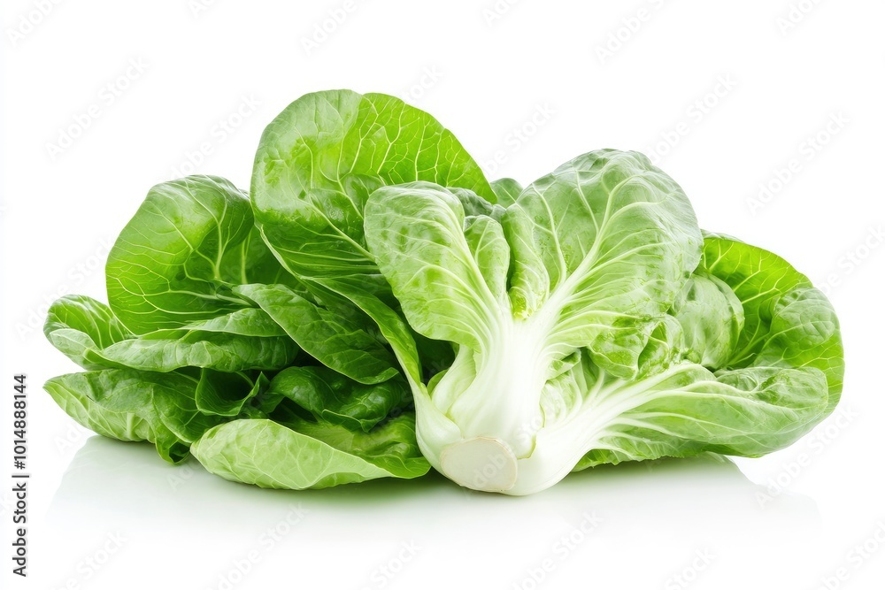 Fresh pak choi cabbage isolated on white background with full depth of field - generative ai Fresh pak choi cabbage isolated on white background with full depth of field - generative ai
