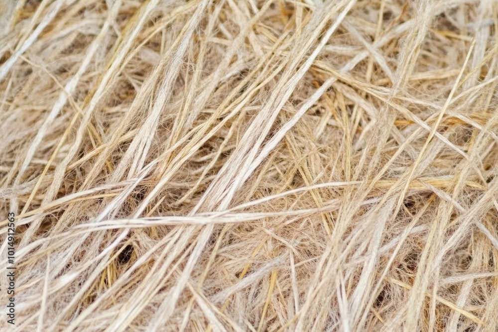 Close-Up View of Dry Grass and Straw Textures Close-Up View of Dry Grass and Straw Textures