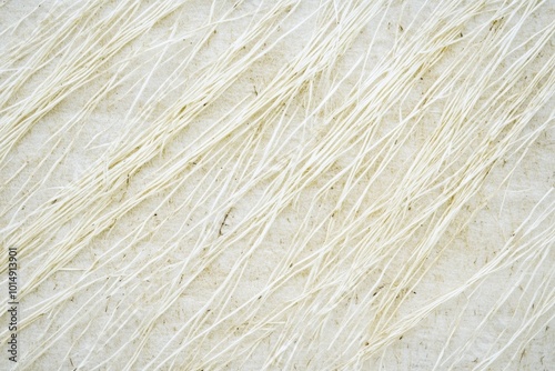 Textured Background of Thin, Light Strands