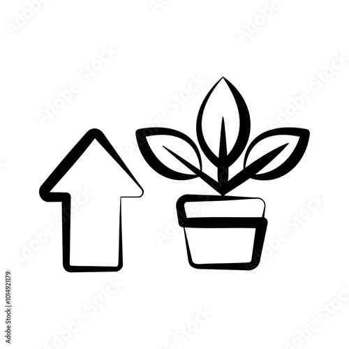 personal growth