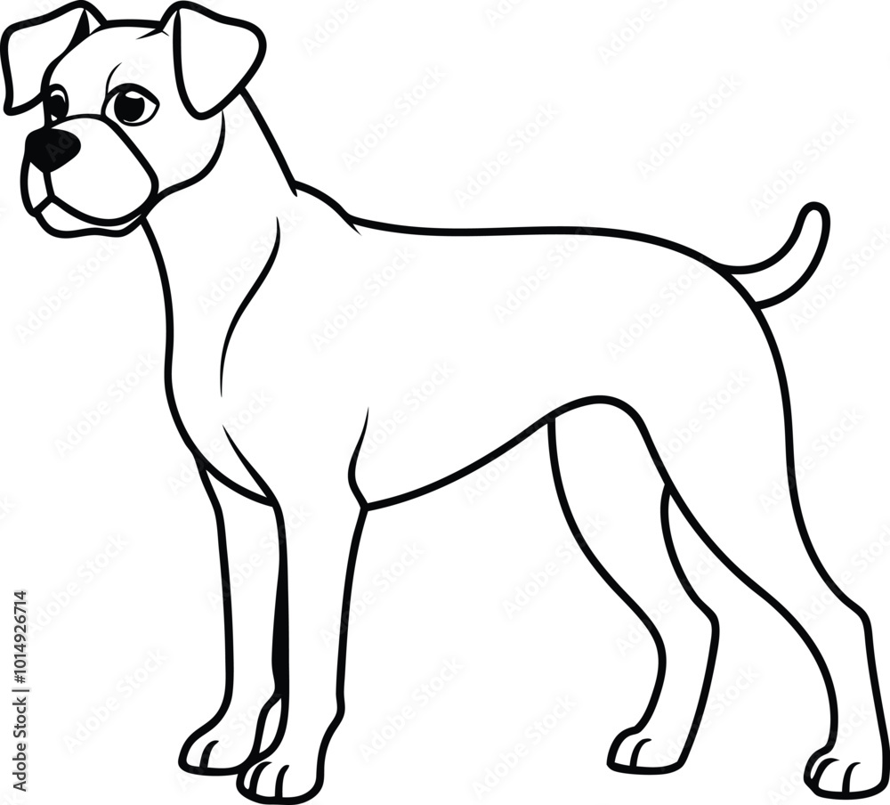 Fototapeta premium Line art Boxer dog Collections poses in freehand drawing vector illustration