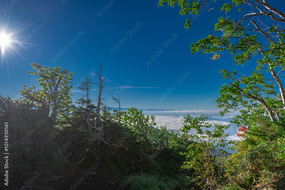 Obraz premium 御嶽山八合目から広がった雲海を望む