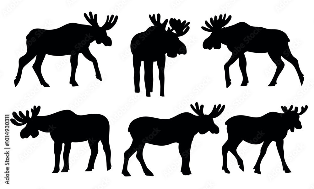 Fototapeta premium Moose Black Silhouette Vector Set in Different Poses
