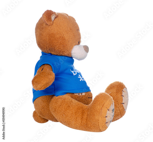 Soft toy bear isolation photo