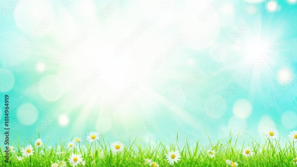 Fototapeta premium A bright, serene landscape with daisies and a soft blue background.