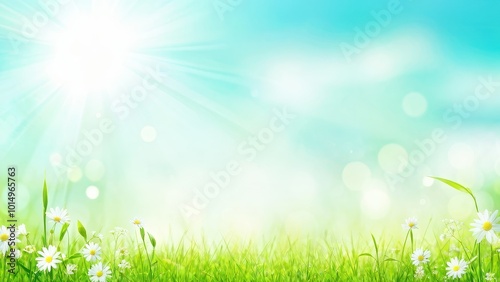A bright, serene landscape with a grassy field and blooming flowers under a sunny sky.