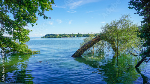 Billede på lærred 05_Fragment of the beautiful island of Mainau in Lake Constance, Germany