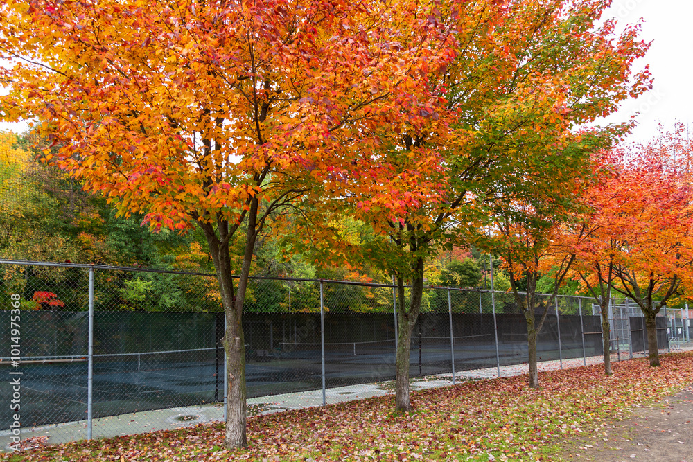 Naklejka premium The Provancher Park tennis courts in the Cap-Rouge sector seen during a rainy fall morning, Quebec City, Quebec, Canada