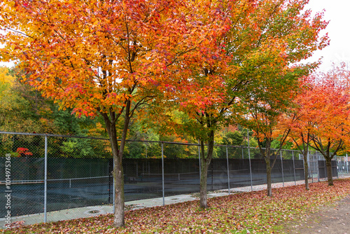 The Provancher Park tennis courts in the Cap-Rouge sector seen during a rainy fall morning, Quebec City, Quebec, Canada photo