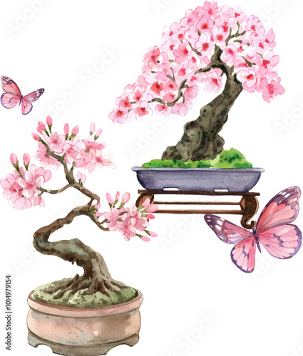 Sakura, Cherry blossom, Pink Sakura bonsai, watercolor painting hand-drawn illustration.