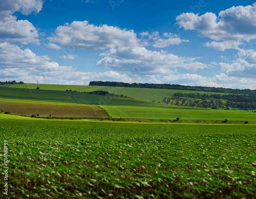 farmland, agricultural land, beautiful landscape with sky with clouds