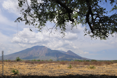 Picturieque image of the Savanna and Mount Baluran in Baluran National Park, East Java, Indonesia. 