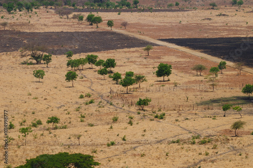Aerial photo of dry grass at Savannah of Baluran National  Park, East Java, Indonesia. 