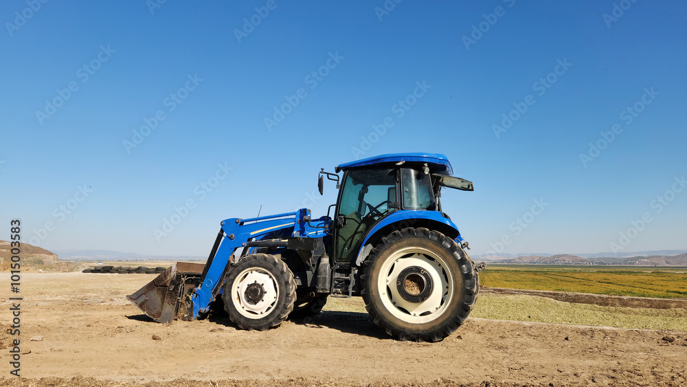 A tractor pressing corn leaves to make corn silage on a reinforced concrete silage pit to make winter dairy cattle roughage A tractor pressing corn leaves to make corn silage on a reinforced concrete silage pit to make winter dairy cattle roughage