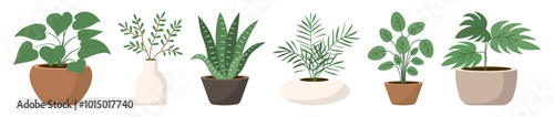 Set of six different types of indoor plants with leaves in ceramic pots. Flat style. Vector illustration.