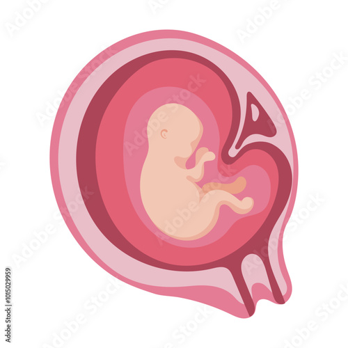 Baby in womb of pregnant woman4mouth