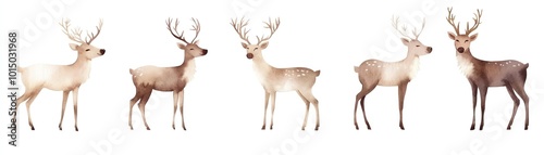 Wallpaper Mural Illustration of five majestic deer with antlers standing gracefully. Perfect for nature and wildlife design projects. Torontodigital.ca