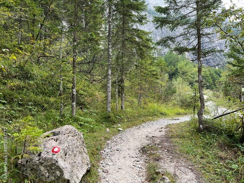 Hiking trails along the Suhi Potok in Zadnja Trenta, Bovec (Triglav National Park, Slovenia) - Wanderwege entlang des Baches Suhi Potok in Zadnja Trenta (Triglav-Nationalpark, Slowenien) photo