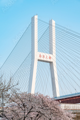 Canvas Print Nanpu Bridge in Shanghai, China