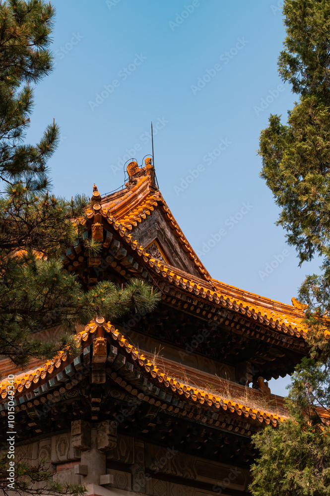 The eaves of Qing Dynasty palace buildings in China The eaves of Qing Dynasty palace buildings in China