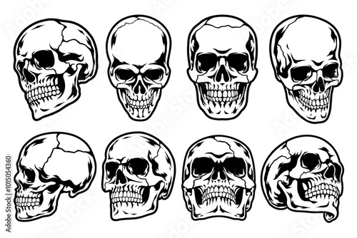 set of skulls vector anatomy in different angles
