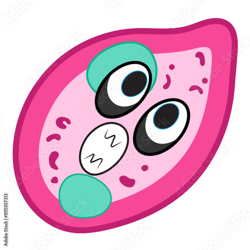 coccidia