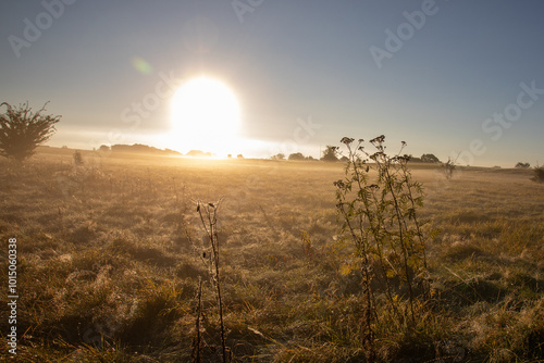 Glowing Sun Over a Serene Morning Field