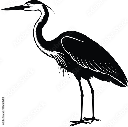 Heron Vector Illustration with White Background - Elegant Bird Design