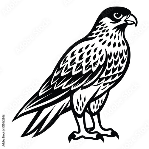 Red-tailed hawk vector Graphic silhouette on a white background. Digital vector graphics 