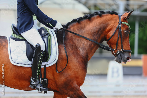 Influence with body, legs and hands of the rider on the horse.