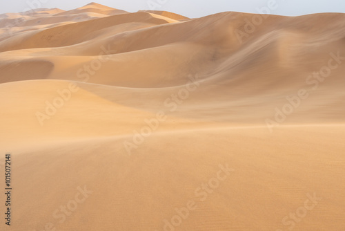 Fototapeta Naklejka Na Ścianę i Meble -  Unique details of sand dunes in Namibia
