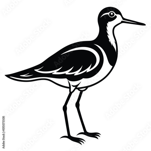 Silhouette Upland Sandpiper hand drawing vector isolated on white background