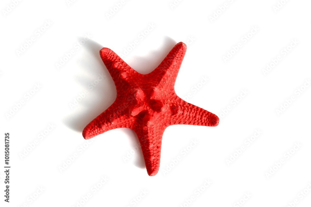 Red starfish lies on a white isolated background. Red starfish lies on a white isolated background.