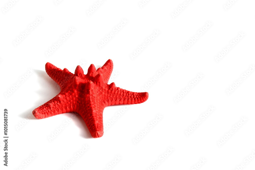 Red starfish lies on a white isolated background. Red starfish lies on a white isolated background.