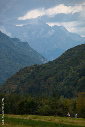 Podobny obraz