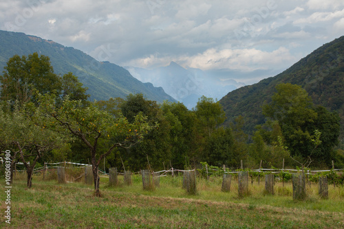 summer landscape of high mountains. A cultivated valley, trees and meadows, and mountain peaks.