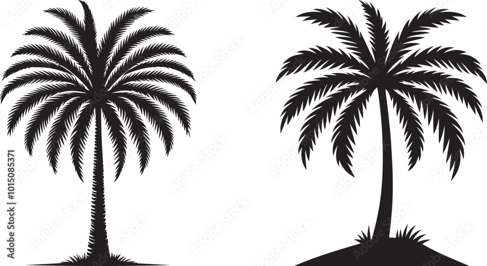 Obraz premium palm trees silhouettes