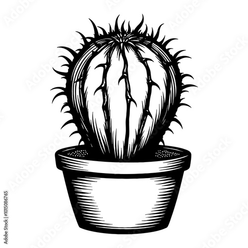 Detailed Black and White Engraved Illustration of a Round Cactus Plant in a Pot