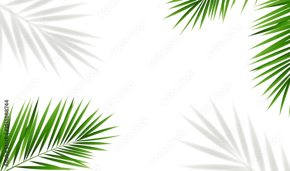 Tropical Palm Trees Leaves Isolated With White Background Tropical Palm Trees Leaves Isolated With White Background