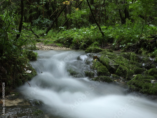 Bach im Wald