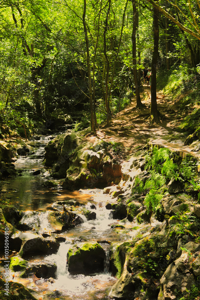 Pyrenean forest. Pyrenees, Baztán Valley, Navarra, Spain. The Pyrenean valleys are full of lush forests through which the agya flows abundantly, bucolic landscapes Pyrenean forest. Pyrenees, Baztán Valley, Navarra, Spain. The Pyrenean valleys are full of lush forests through which the agya flows abundantly, bucolic landscapes