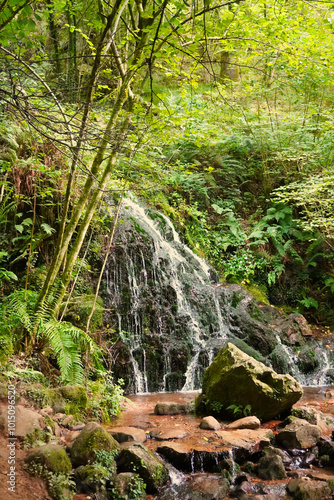 Pyrenean forest. Pyrenees, Baztán Valley, Navarra, Spain. The Pyrenean valleys are full of lush forests through which the agya flows abundantly, bucolic landscapes photo