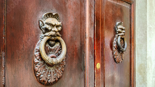 Fotografie Old wooden door with metal knocker handles