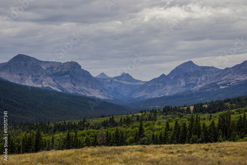 Mountainous landscape at East Glacier