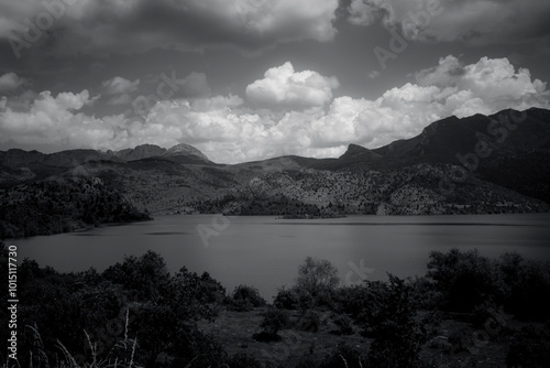 photography of beautiful landscapes in black and white